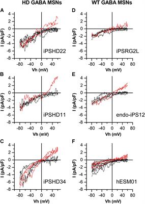 Patient-Specific iPSC-Based Models of Huntington’s Disease as a Tool to Study Store-Operated Calcium Entry Drug Targeting